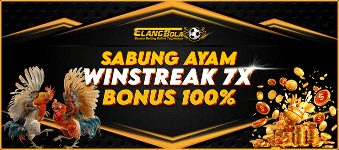 ElangBola Event Sabung Ayam Winstreak